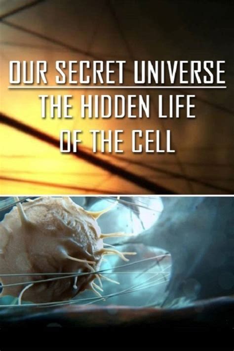 The secret universe. Things To Know About The secret universe. 